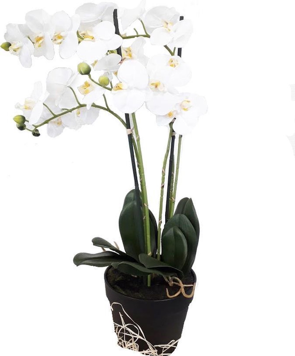 Plante Fleur Artificielle Orchidée Réaliste, H55cm - CAMELIA - RETIF