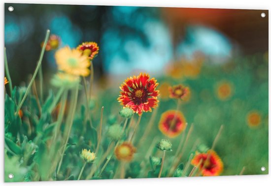 Tuinposter – Bloemenveld met Rode en Gele Bloemem - 120x80cm Foto op Tuinposter  (wanddecoratie voor buiten en binnen)