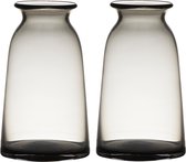 Set van 2x stuks transparante home-basics grijze vaas/vazen van glas 23.5 x 12.5 cm - Bloemen/takken/boeketten vaas voor binnen gebruik