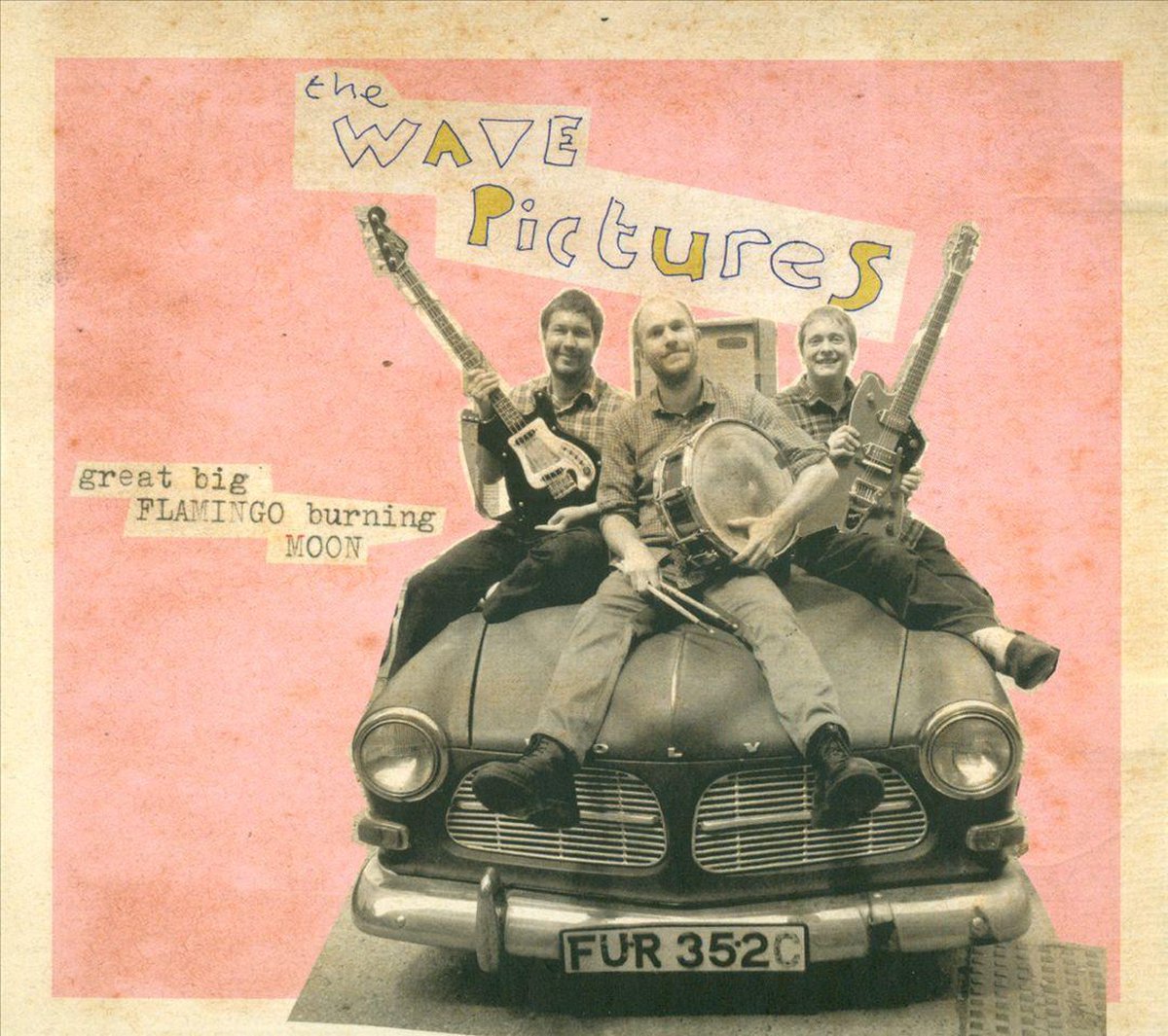 The Wave Pictures - Great Big Flamingo Burning Moon