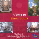 A Year In Saint Louis