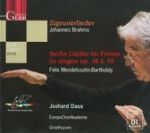 Zigeunerlieder/Sechs Lieder Im Frei