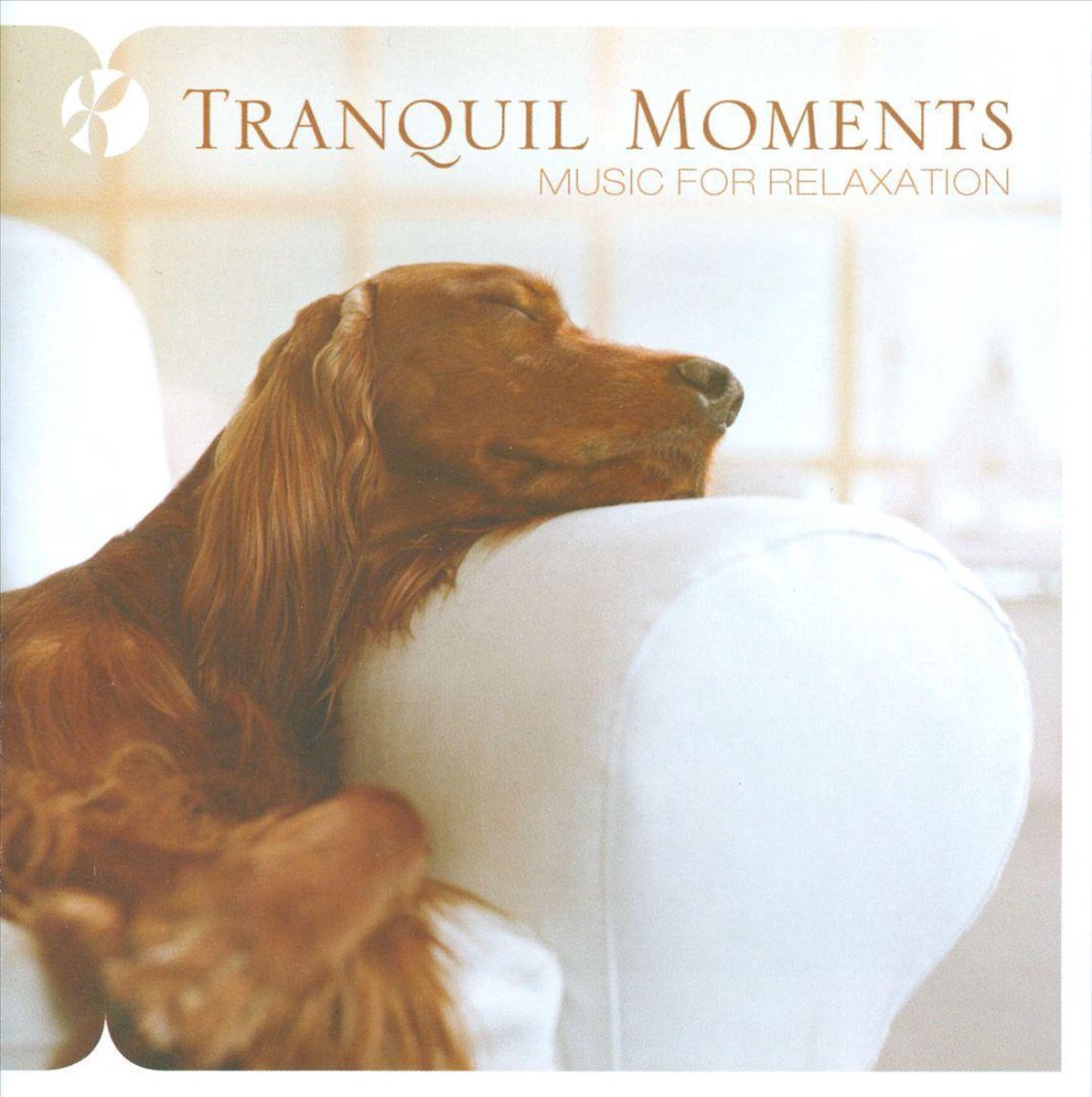 Tranquil Moments [Reflections]