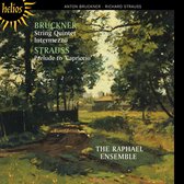 The Raphael Ensemble - Quintet & Capriccio (CD)