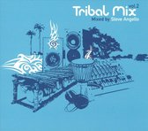 Tribal Mix, Vol. 2