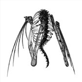Lotic - Heterocetera (12" Vinyl Single)