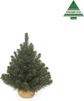 Triumph Tree - Alpine kerstboom w burlap groen TIPS 65 - h60xd51cm - Kerstbomen