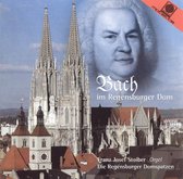 Bach Im Regensburger Dom