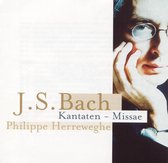 J. S. Bach: Kantanen & Missae / Herreweghe