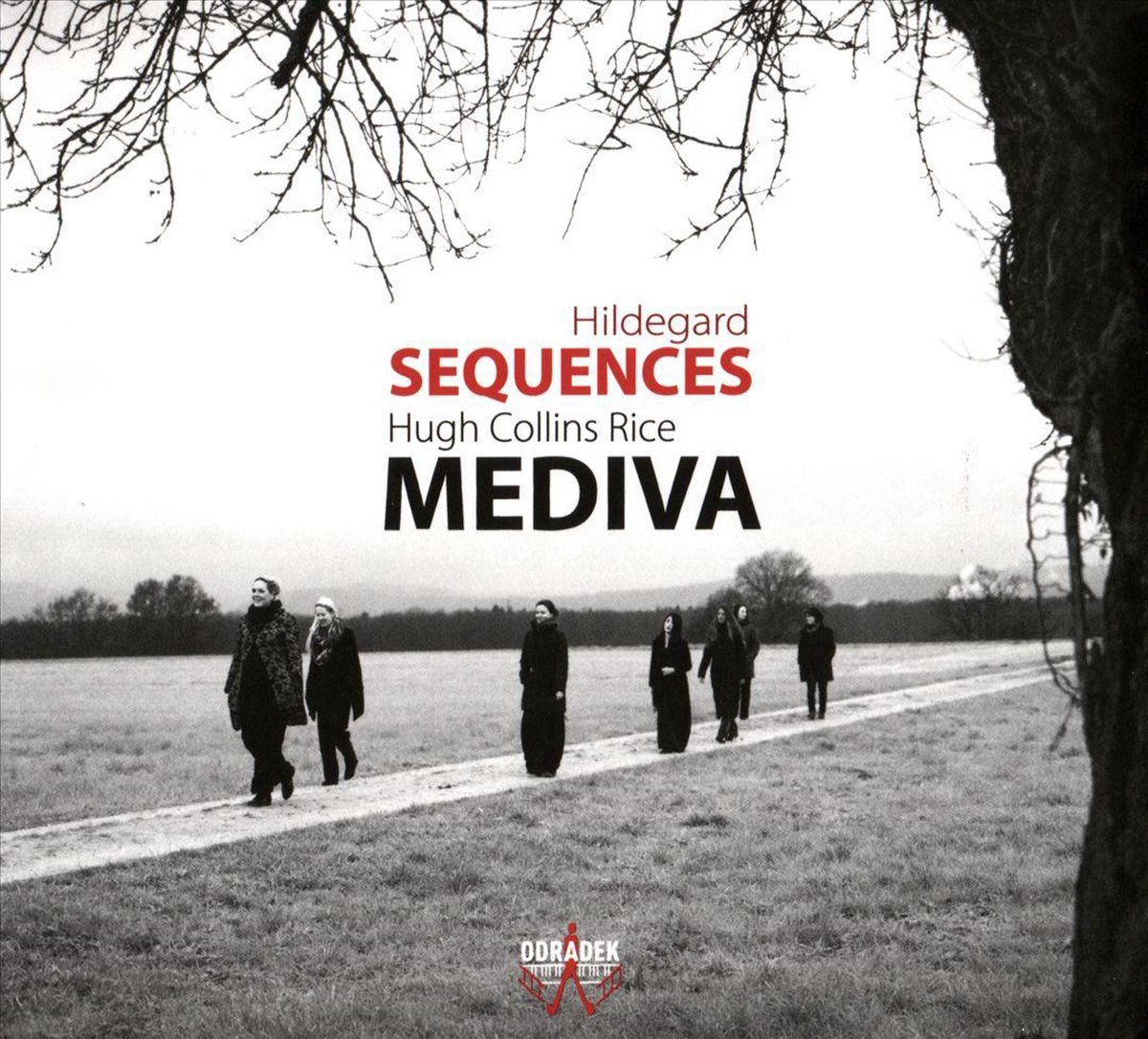 Sequences, Hugh Collins Rice | CD (album) | Muziek | bol