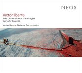 Vertixe Sonora, Nacho De Paz - Ibarra: The Dimension Of The Fragile (CD)