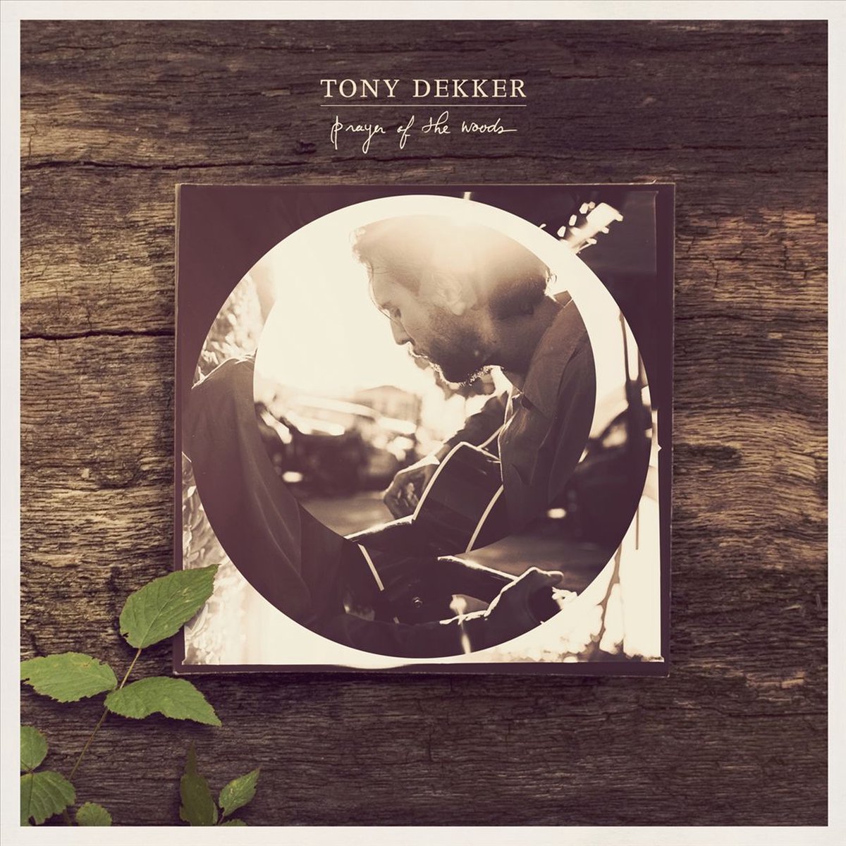 Dekker Tony - Prayer Of Woods