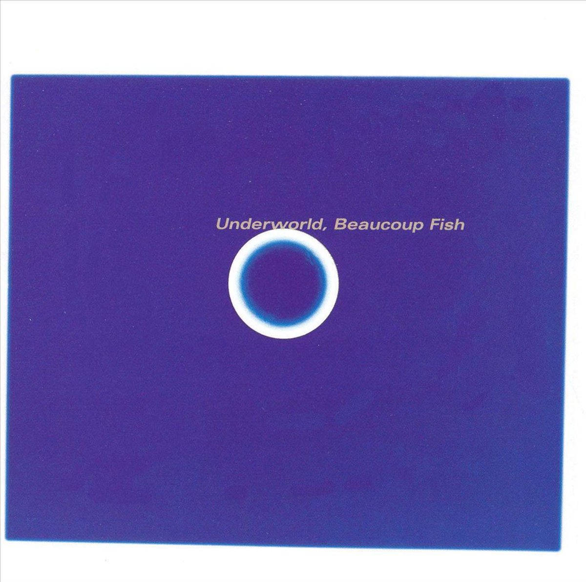 Beaucoup Fish