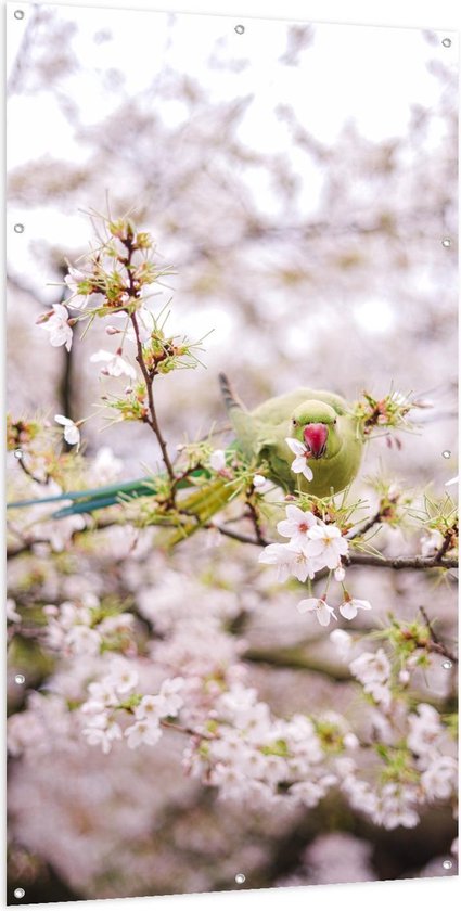 Tuinposter – Groene Vogel tussen de Bloesem - 100x200cm Foto op Tuinposter  (wanddecoratie voor buiten en binnen)