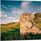 Forex - Rotsen bij Landschap - 80x80cm Foto op Forex