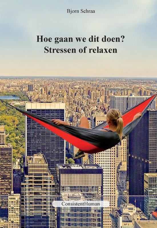 Hoe gaan we dit doen? - cover