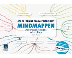 Meer inzicht en overzicht met mindmappen