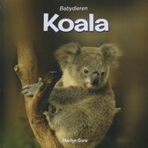 Babydieren  -   Koala