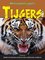 Weergaloze jagers tijgers