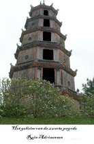 Het geheim van de zwarte pagode