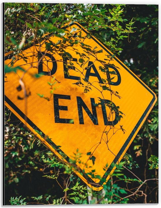 Dibond - ''Dead End'' Bord - 30x40cm Foto op Aluminium (Met Ophangsysteem)