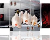 Schilderij , Orchidee , 5 luik , wit grijs rood , 4 maten , Premium print XXL