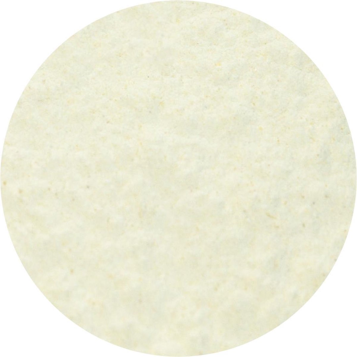 Goedkoopste Pastinaak Poeder - 1 Kg - Holyflavours