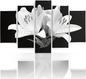 Schilderij , Witte Lelies , 4 maten , 5 luik , zwart wit , wanddecoratie , XXL