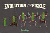 Pyramid Rick and Morty Evolution of the Pickle Poster 91,5x61cm