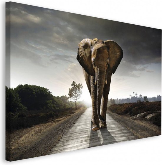 Schilderij Wandelende olifant 70x118 cm