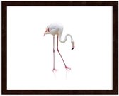 Foto in frame Flamingo, 3 maten, roze/wit, Premium print