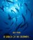 Jules Verne's Definitive Collection 22 - In Search of the Castaways - Jules Verne