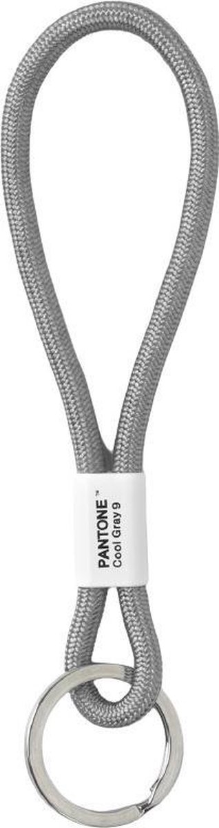 Pantone Sleutelhanger - Klein - 180x33 mm - Cool Gray 9 C