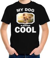 Chihuahua honden t-shirt my dog is serious cool zwart - kinderen - Chihuahuas liefhebber cadeau shirt S (122-128)