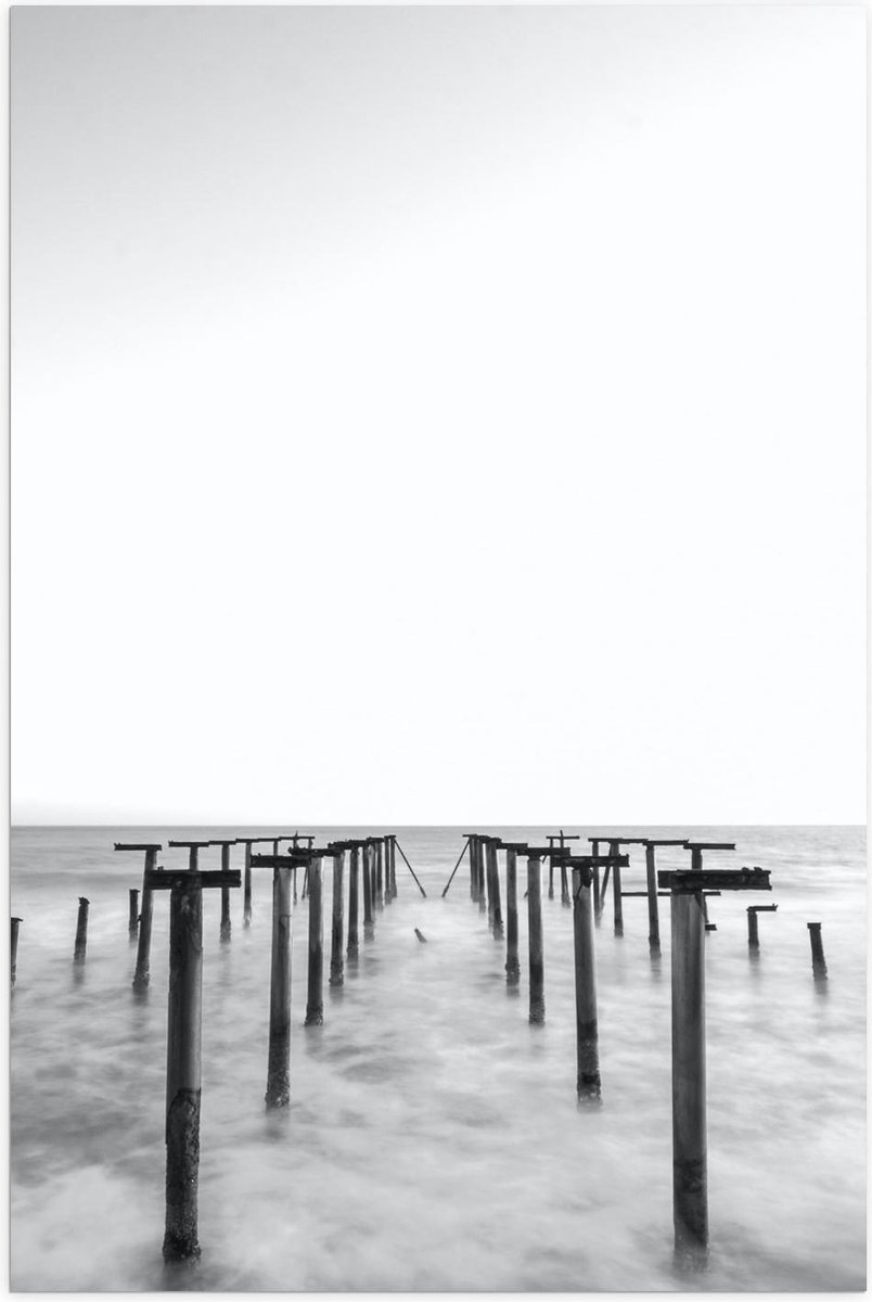 Poster – Palen in het Water Zwart - Wit - 40x60cm Foto op Posterpapier