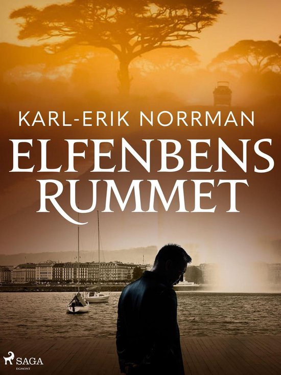 Elfenbensrummet - cover