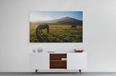 Schilderij - Paarden in de weiland — 100x70 cm
