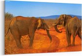 Schilderij - Twee volwassen olifanten — 90x60 cm