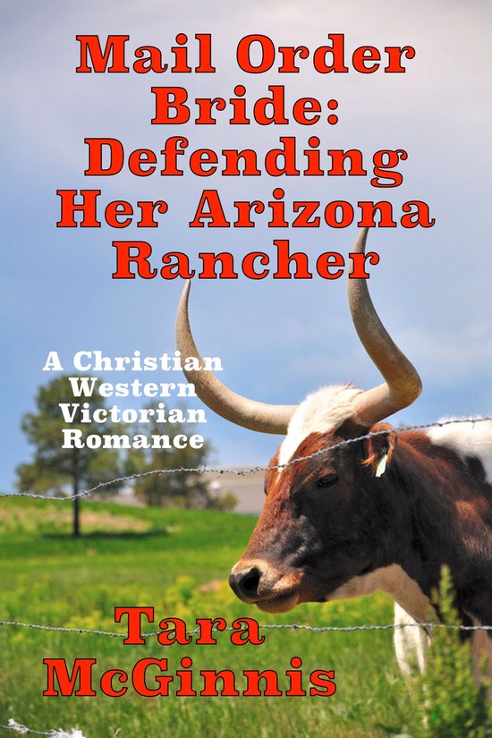 Mail Order Bride: Defending Her Arizona Rancher - cover
