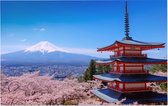 Chureito Pagoda en kersenbloesem in bloei bij Mount Fuji - Foto op Forex - 90 x 60 cm