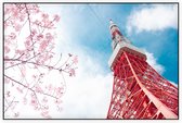 Zicht de communicatietoren van Tokio bij een kersenbloesem - Foto op Akoestisch paneel - 90 x 60 cm