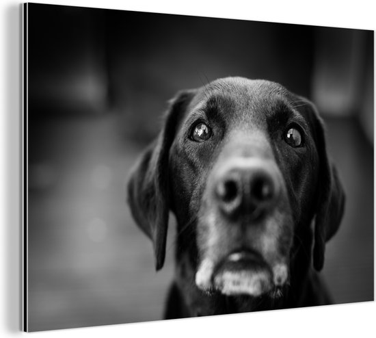 Alu-Dibond Hundewarnschild „Vorsicht Labrador Retriever“ – 15x20 Cm, Wetterfest Für Garten & Haus