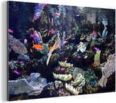 Wanddecoratie Metaal - Aluminium Schilderij Industrieel - Kleurrijk aquarium - 60x40 cm - Dibond - Foto op aluminium - Industriële muurdecoratie - Voor de woonkamer/slaapkamer