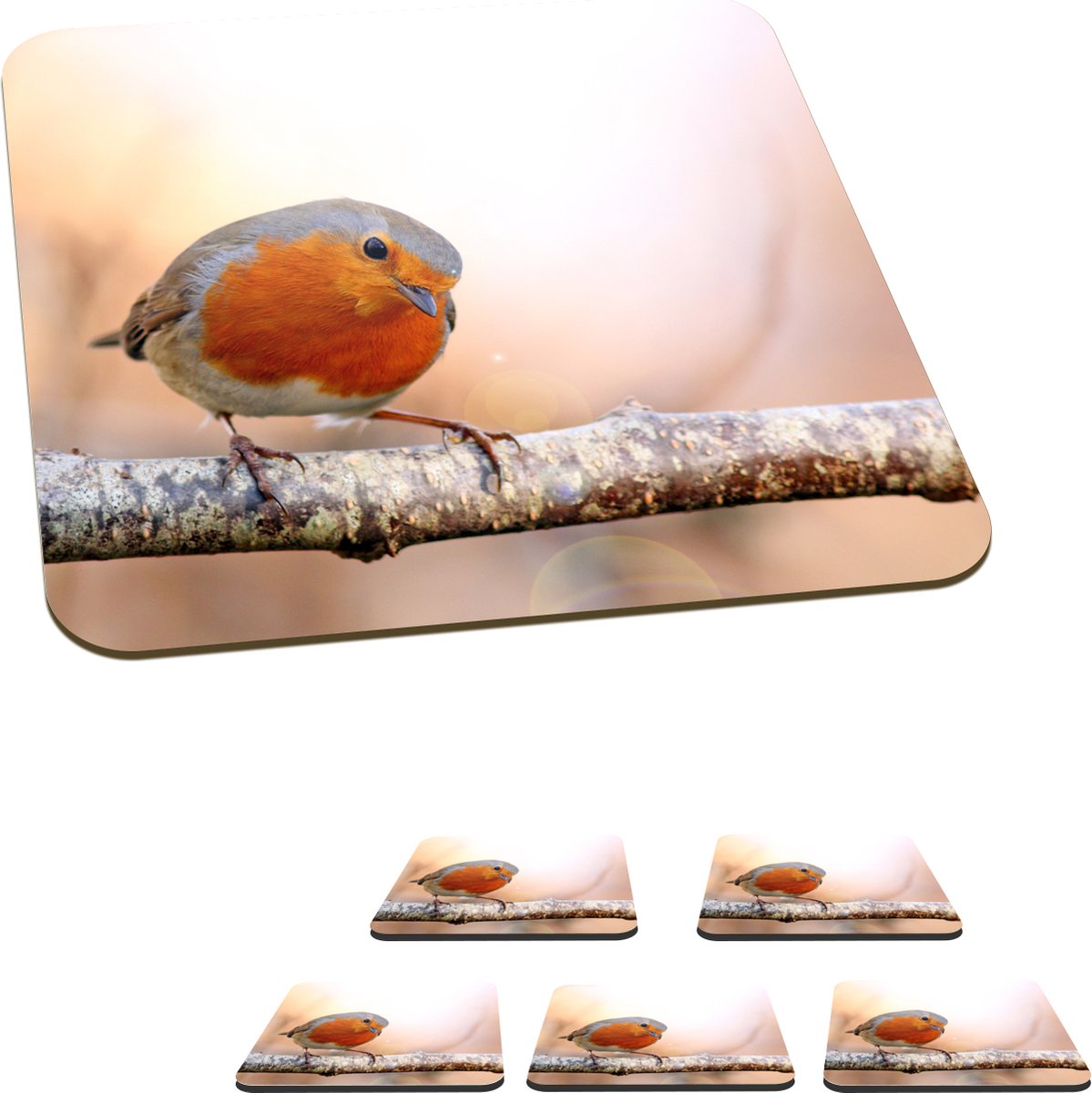 Onderzetters voor glazen - Roodborst - Tak - Boom - 10x10 cm - Glasonderzetters - 6 stuks
