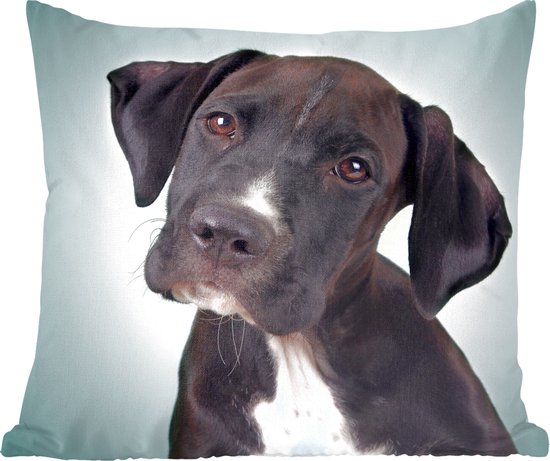 Sierkussens - Kussentjes Woonkamer - 60x60 cm - Lieve zwart-witte hond