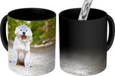 Magische Mok - Foto op Warmte Mokken - Koffiemok - Labrador Retriever puppy zit op een bospad - Magic Mok - Beker - 350 ML - Theemok