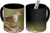 Magische Mok - Foto op Warmte Mok - Rotsmus op een steen - 350 ML