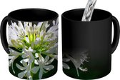 Magische Mok - Foto op Warmte Mok - Een bloeiende witte agapanthus tegen donkere achtergrond - 350 ML