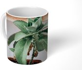 Mok - Cactussen op plank - 350 ML - Beker
