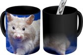 Magische Mok - Foto op Warmte Mokken - Koffiemok - Syrische hamster - Magic Mok - Beker - 350 ML - Theemok